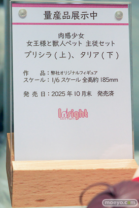 ワンダーフェスティバル2026 [冬]  フィギュア キャストオフ エロ インサイト 肉感少女 青肌サキュバス 21