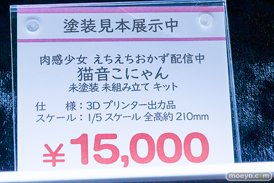ワンダーフェスティバル2026 [冬]  フィギュア キャストオフ エロ インサイト 肉感少女 青肌サキュバス 35