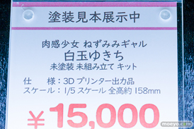ワンダーフェスティバル2026 [冬]  フィギュア キャストオフ エロ インサイト 肉感少女 青肌サキュバス 38