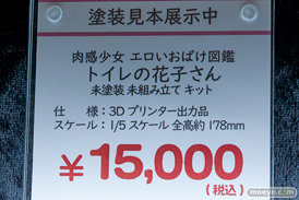 ワンダーフェスティバル2026 [冬]  フィギュア キャストオフ エロ インサイト 肉感少女 青肌サキュバス 41