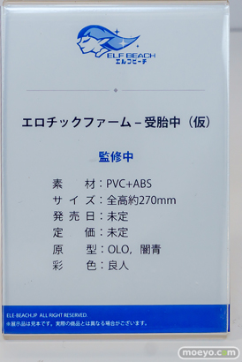 ワンダーフェスティバル2026 [冬]  フィギュア キャストオフ エロ あみあみホビーキャンプSP ELF BEACH ダイヤの女王 獣人討伐のエルフ王女 宮本真琴 12