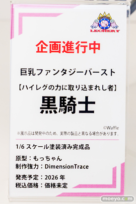 ワンダーフェスティバル2026 [冬]  フィギュア キャストオフ エロ あみあみホビーキャンプSP PANDORA レチェリー Vibrastar 19