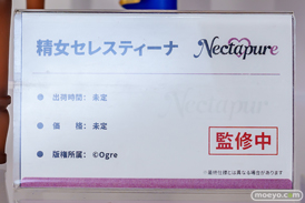 ワンダーフェスティバル2026 [冬]  フィギュア キャストオフ エロ あみあみホビーキャンプSP F.W.A.T Nectapure 精女セレスティーナ Machi 冬ver. 永井・妹 05