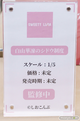 ワンダーフェスティバル2026 [冬]  フィギュア キャストオフ エロ SWEETY LUNA 白山華凛 アクちゃん いとこちゃん バニー エロイーズ 06