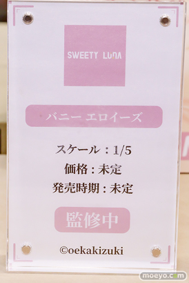 ワンダーフェスティバル2026 [冬]  フィギュア キャストオフ エロ SWEETY LUNA 白山華凛 アクちゃん いとこちゃん バニー エロイーズ 23