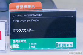 コトブキヤコレクション2026 フィギュア 高潔カナン シルフィエット・グレイラット & ルーシー・グレイラット 38