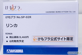 コトブキヤコレクション2026 フィギュア プラモデル アゾン アオシマ リンカ 吉野るみか 10