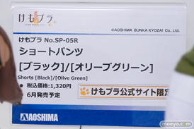 コトブキヤコレクション2026 フィギュア プラモデル アゾン アオシマ リンカ 吉野るみか 13