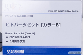 コトブキヤコレクション2026 フィギュア プラモデル アゾン アオシマ リンカ 吉野るみか 16