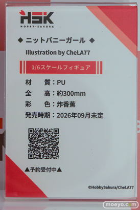 ワンダーフェスティバル2026 [冬]  フィギュア 佐々木琴音 ウサギ警官 愛内陽菜 14