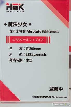ワンダーフェスティバル2026 [冬]  フィギュア 佐々木琴音 ウサギ警官 愛内陽菜 35