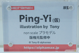 ワンダーフェスティバル2026 [冬]  フィギュア アルファマックス モガドール ボルチモア キアサージ 30