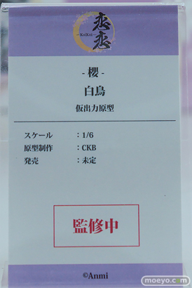 ワンダーフェスティバル2026 [冬]  フィギュア 恋恋 花奈 凛 美羽香 遊美 16