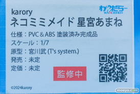 ワンダーフェスティバル2026 [冬]  フィギュア わんだらー コトブキヤ スクウェア・エニックス ティファ クーラ 星宮あまね 05