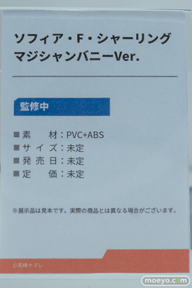 ワンダーフェスティバル2026 [冬]  フィギュア Otherwhere ソフィア・F・シャーリング 水泳部顧間のナツミ 束縛天使・ステジア 04