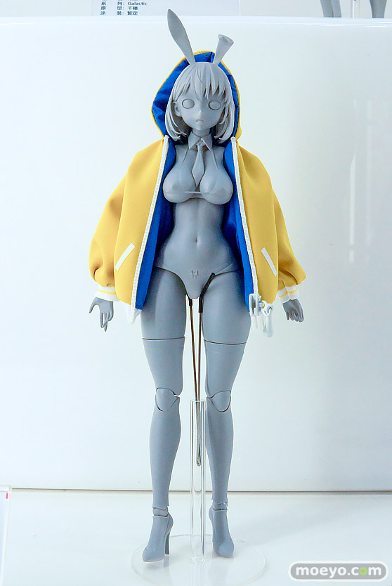 ワンダーフェスティバル2026 [冬]  フィギュア Otherwhere ソフィア・F・シャーリング 水泳部顧間のナツミ 束縛天使・ステジア 12