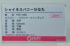 ワンダーフェスティバル2026 [冬]  フィギュア Otherwhere ソフィア・F・シャーリング 水泳部顧間のナツミ 束縛天使・ステジア 13