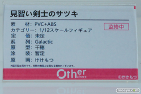 ワンダーフェスティバル2026 [冬]  フィギュア Otherwhere ソフィア・F・シャーリング 水泳部顧間のナツミ 束縛天使・ステジア 15