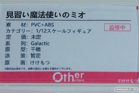 ワンダーフェスティバル2026 [冬]  フィギュア Otherwhere ソフィア・F・シャーリング 水泳部顧間のナツミ 束縛天使・ステジア 19