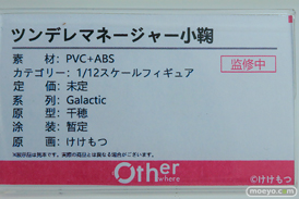 ワンダーフェスティバル2026 [冬]  フィギュア Otherwhere ソフィア・F・シャーリング 水泳部顧間のナツミ 束縛天使・ステジア 21