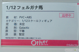 ワンダーフェスティバル2026 [冬]  フィギュア Otherwhere ソフィア・F・シャーリング 水泳部顧間のナツミ 束縛天使・ステジア 33