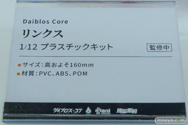 ワンダーフェスティバル2026 [冬]  フィギュア 大漫匠アニメスター  核金重構 クルカイ アクルミ 月龍 14