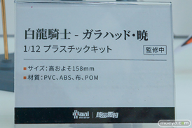 ワンダーフェスティバル2026 [冬]  フィギュア 大漫匠アニメスター  核金重構 クルカイ アクルミ 月龍 27