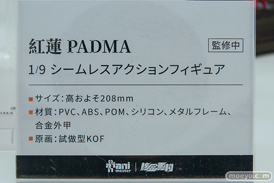 ワンダーフェスティバル2026 [冬]  フィギュア 大漫匠アニメスター  核金重構 クルカイ アクルミ 月龍 32