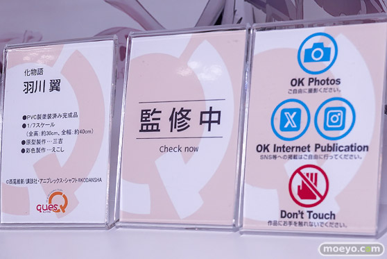 ワンダーフェスティバル2026 [冬]  フィギュア キューズQ ユミア ロキシー 羽川翼 14