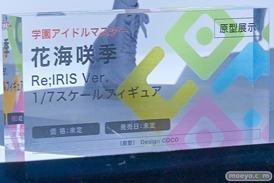 ワンダーフェスティバル2026 [冬]  フィギュア デザインココ ライザ ラファエロ チアキ 03