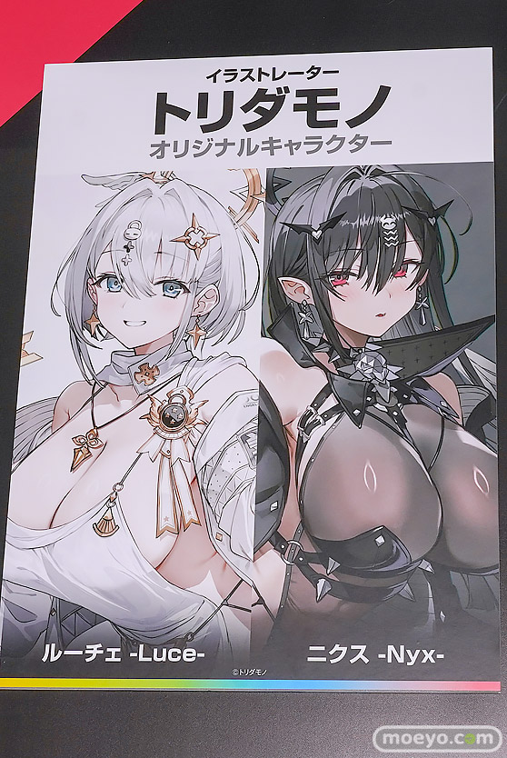 ワンダーフェスティバル2026 [冬]  フィギュア デザインココ ラピ：レッドフード ベヒモス アルカナ 22