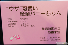 第13回 ネイティブグループ合同展示会（エロホビ） エロ フィギュア キャストオフ ロケットボーイ 09