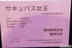 第13回 ネイティブグループ合同展示会（エロホビ） エロ フィギュア キャストオフ ロケットボーイ 19