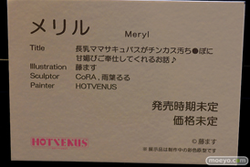 第13回 ネイティブグループ合同展示会（エロホビ） エロ フィギュア キャストオフ HOTVENUS マジックバレット 13