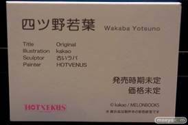 第13回 ネイティブグループ合同展示会（エロホビ） エロ フィギュア キャストオフ HOTVENUS マジックバレット 25