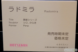 第13回 ネイティブグループ合同展示会（エロホビ） エロ フィギュア キャストオフ HOTVENUS マジックバレット 31