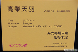 第13回 ネイティブグループ合同展示会（エロホビ） エロ フィギュア キャストオフ のくちゅるぬ 04