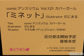 第13回 ネイティブグループ合同展示会（エロホビ） エロ フィギュア キャストオフ のくちゅるぬ 12