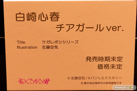 第13回 ネイティブグループ合同展示会（エロホビ） エロ フィギュア キャストオフ のくちゅるぬ 17
