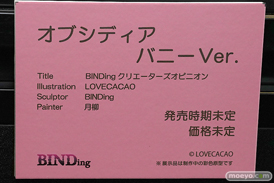 第13回 ネイティブグループ合同展示会（エロホビ） エロ フィギュア キャストオフ BINDing ブロッサム オビシディア ミヅキ 39