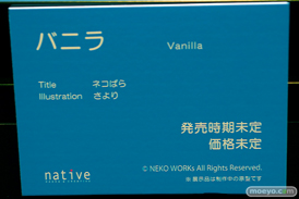 第13回 ネイティブグループ合同展示会（エロホビ） エロ フィギュア キャストオフ ネイティブ デジタルコマース CAMELOT 08