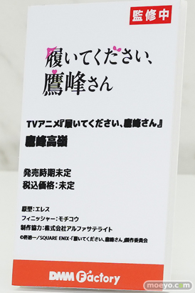 ワンダーフェスティバル2026 [冬]  フィギュア DMM Factory プリバティ 鷹峰高嶺 ヤンナリ 16