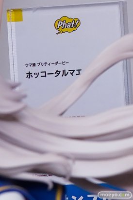 ワンダーフェスティバル2026 [冬]  フィギュア WONDERFUL HOBBY LIFE FOR YOU!!40 ファット・カンパニー ソフィア シオン ヴェロニカ 12