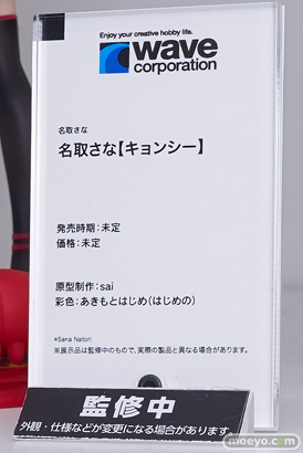 ワンダーフェスティバル2026 [冬]  フィギュア ウェーブ ソラレイン 12