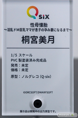 ワンダーフェスティバル2026 [冬]  フィギュア キャストオフ エロ Q-six ノルグレコ 桐宮美月 性母懐胎 12