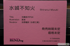 第13回 ネイティブグループ合同展示会（エロホビ） エロ フィギュア キャストオフ BINDing 対魔忍RPGX 水城不知火 葵渚 永野健民 23