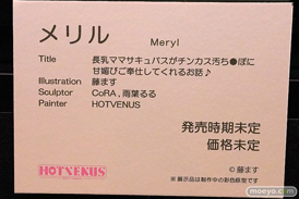 第13回 ネイティブグループ合同展示会（エロホビ） エロ フィギュア キャストオフ メリル 藤ます CoRA 雨葉るる HOTVENUS 24