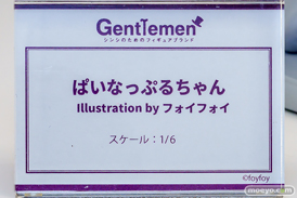 ワンダーフェスティバル2026 [冬]  フィギュア キャストオフ エロ ジェントルメン ぱいなっぷるちゃん フォイフォイ 12