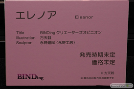 第13回 ネイティブグループ合同展示会（エロホビ） エロ フィギュア キャストオフ BINDing エレノア 方天戟 永野健民 21