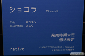 第13回 ネイティブグループ合同展示会（エロホビ） エロ フィギュア キャストオフ ネイティブ ネコぱら ショコラ さより 18